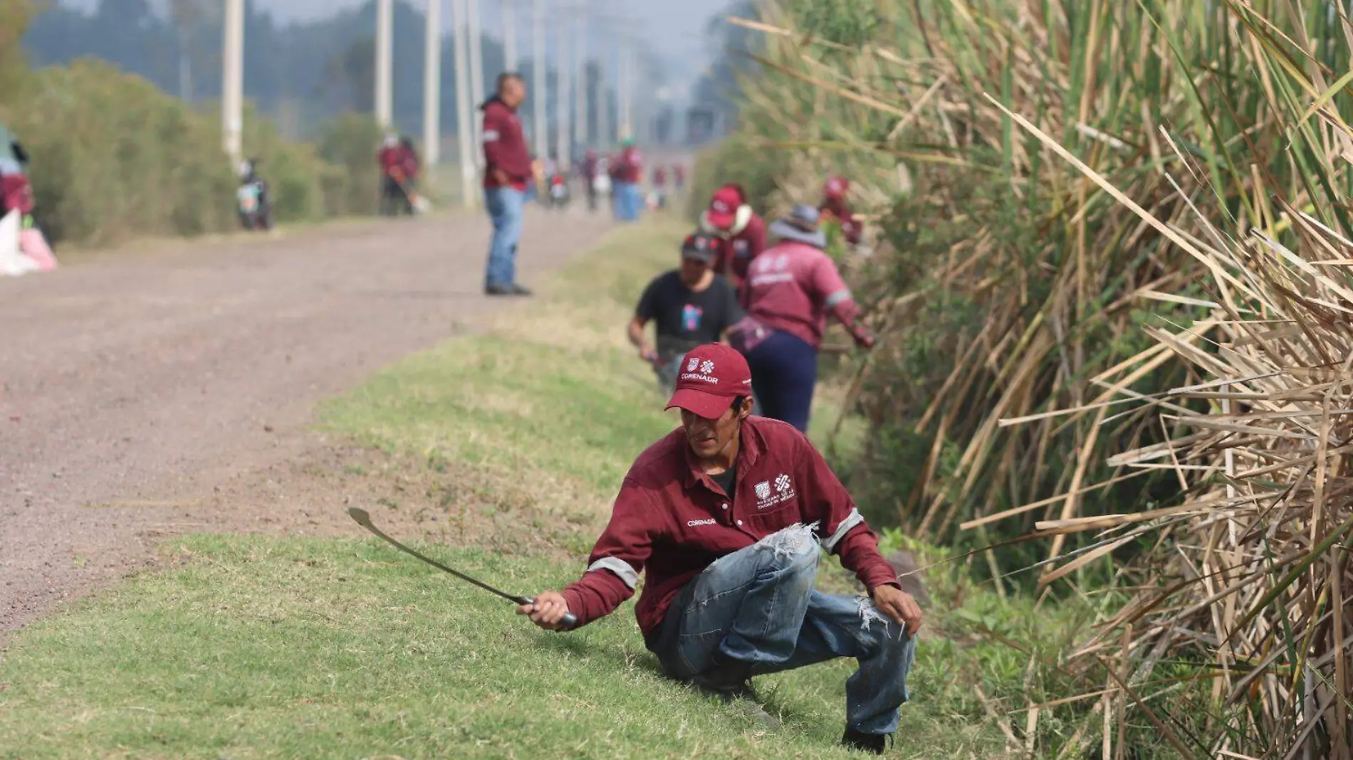 Área Natural Protegida del lago de Tláhuac-Xico